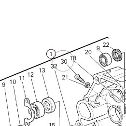 Screw, special 77912962A