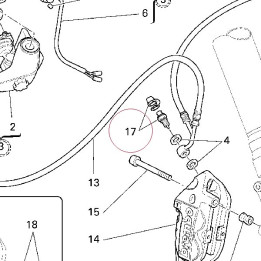 Screw, special 77913361A