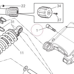 Screw, special 77916422A