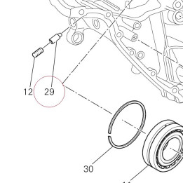 Screw, special 77917101A