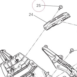 Screw, special 77917681A