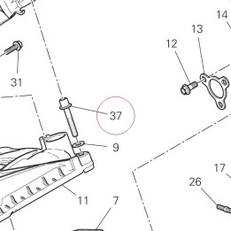 Screw, special 77919641A
