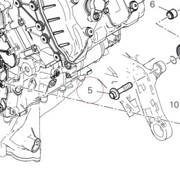 Screw, special 7791B511A