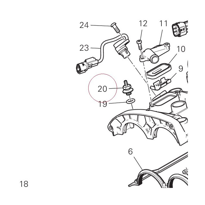Nut, special 7791C021A