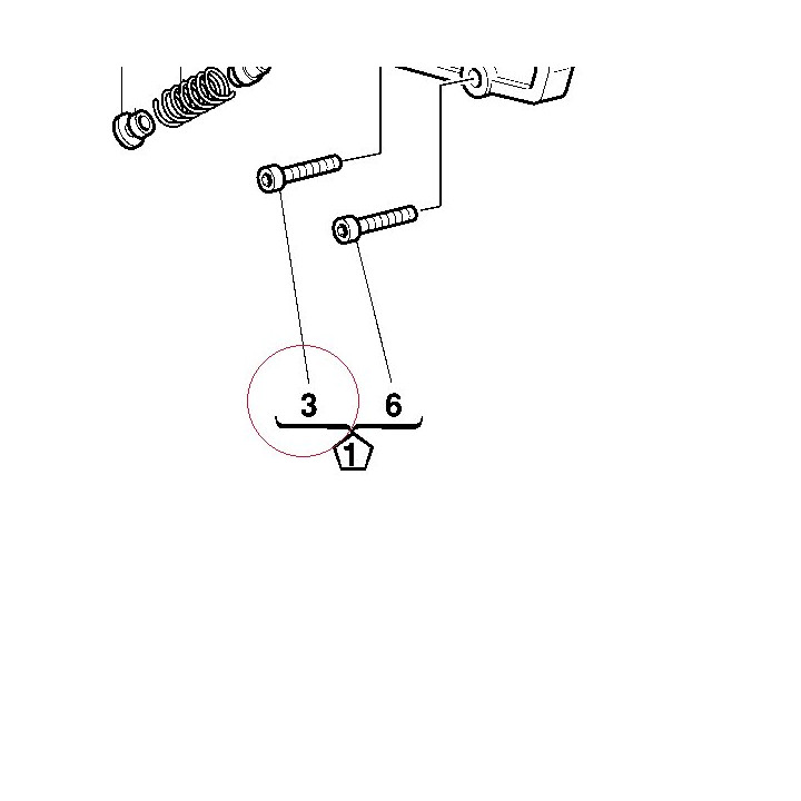 Screw M6X30 77950051A