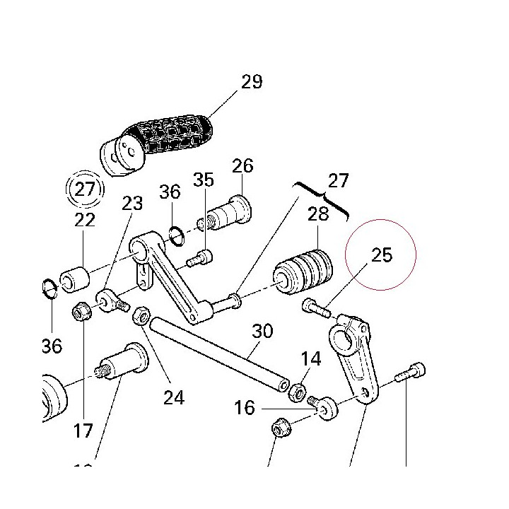 Screw tceir M6X22 77950111B