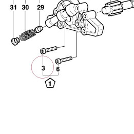 Screw tceir M6X20 77950191A
