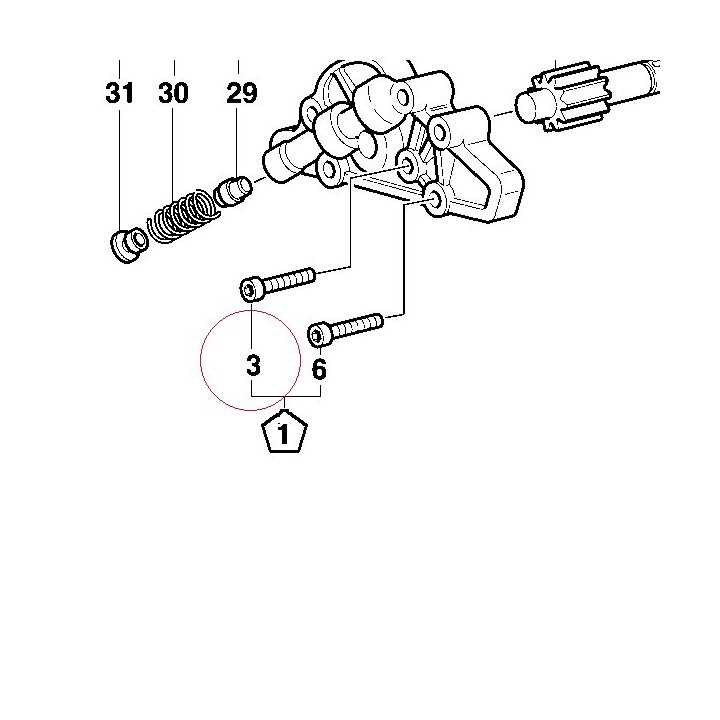 Screw tceir M6X20 77950191A