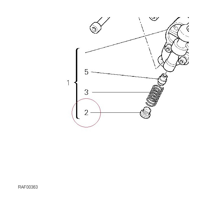 Bypass cap 78010181A