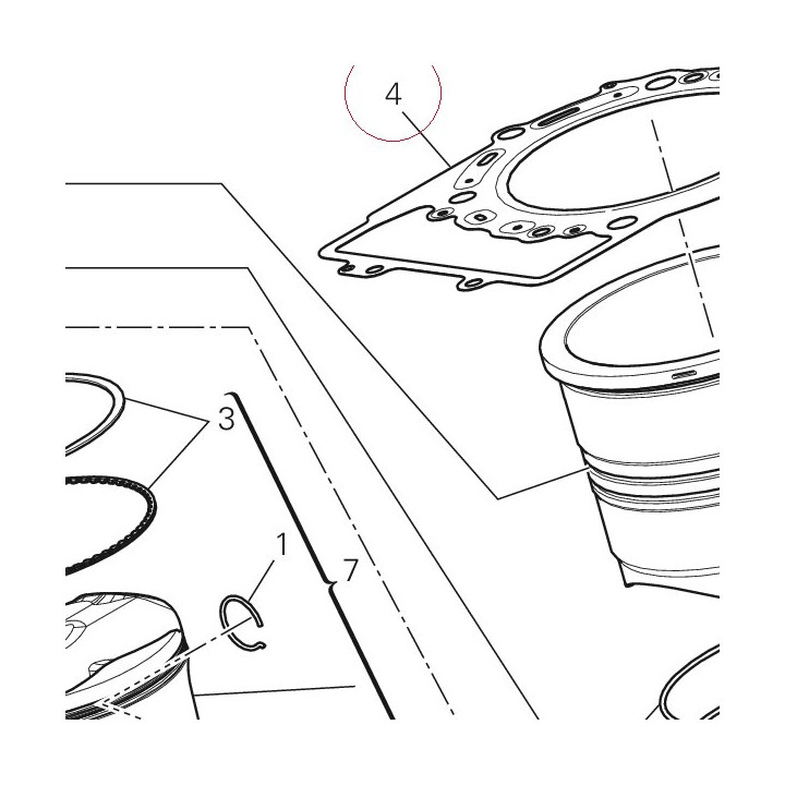 Head-cylinder gasket 78611291B