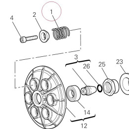 Clutch spring 79912531A