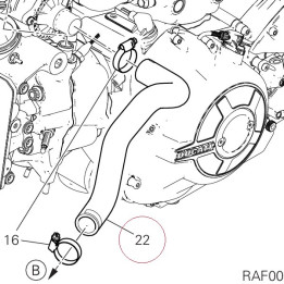 Pump/cooler hose 80010921A