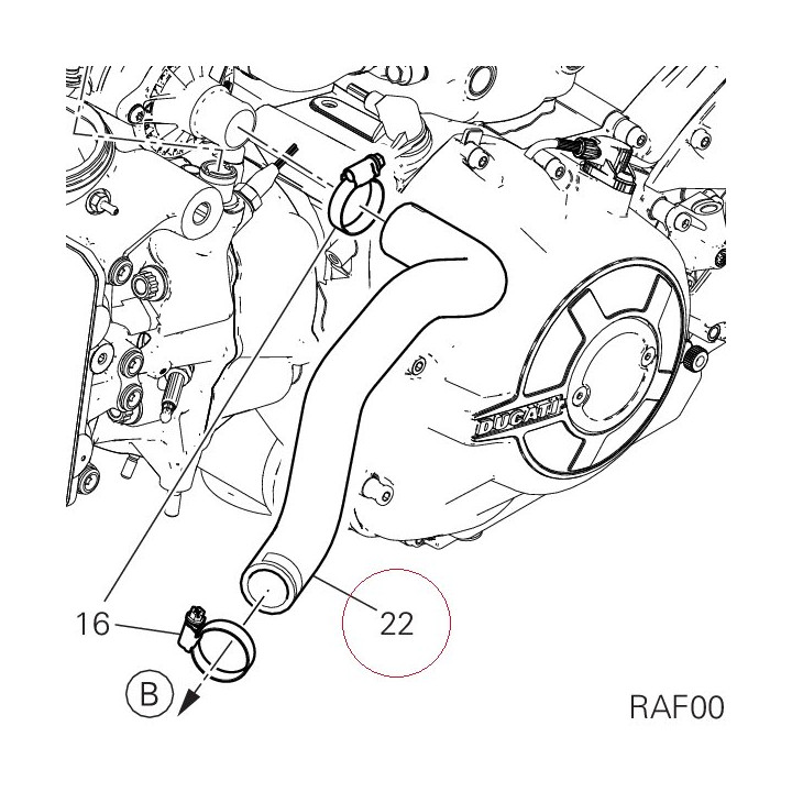 Pump/cooler hose 80010921A