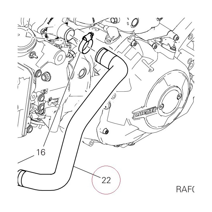 Pump/cooler hose 80012531A