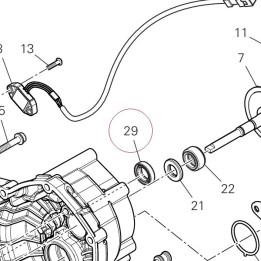 Oil seal 937831524