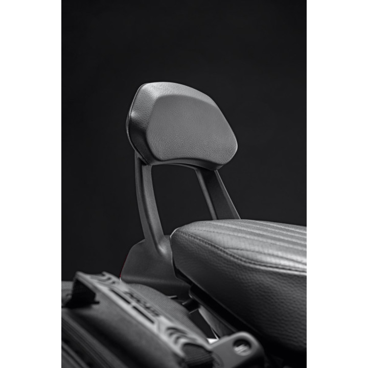 Soutien pour le dos — réf. 96782121AA | Ducati Store