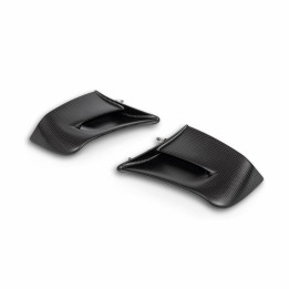 Paire d’ailes en carbone — réf. 96981512AA | Ducati Store