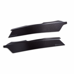 Protections en carbone — réf. 96981751AA | Ducati Store