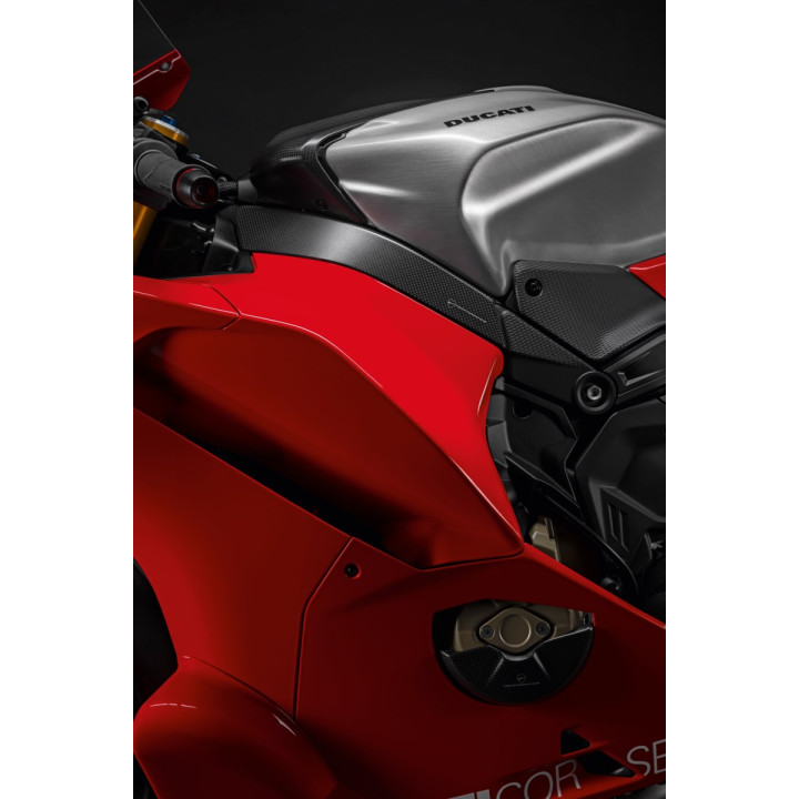 Protections en carbone — réf. 96981751AA | Ducati Store
