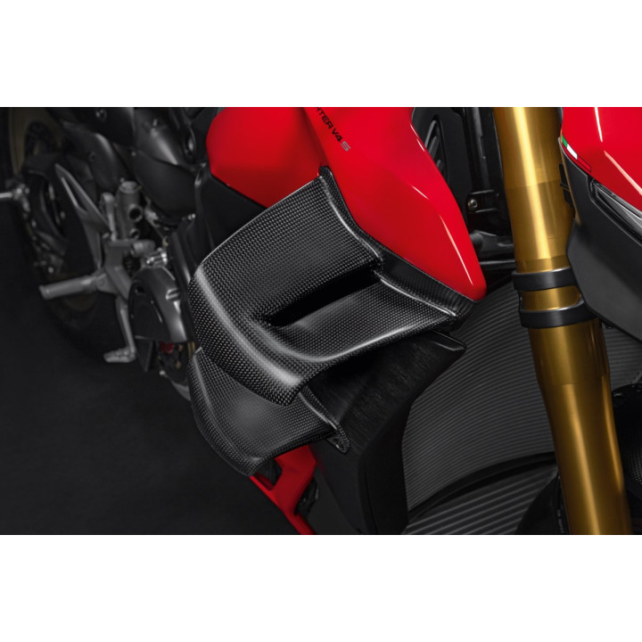 Ailes en carbone — réf. 96982121AA | Ducati Store