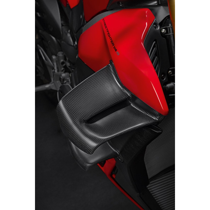 Ailes en carbone — réf. 96982121AA | Ducati Store