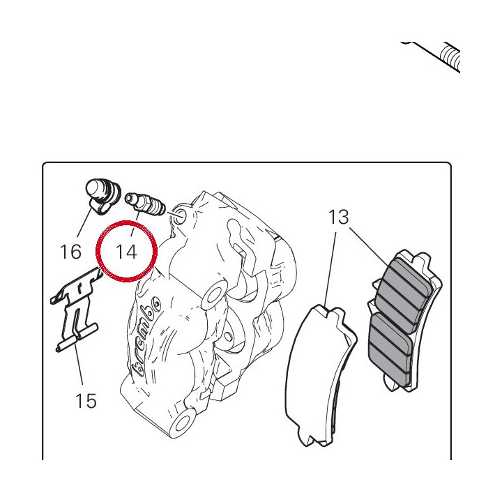 Vis pour vidange étrier — réf. 61240201A | Ducati Store
