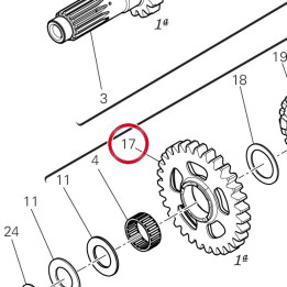 Engrenage entraine 1Ere — réf. 17217231B | Ducati Store