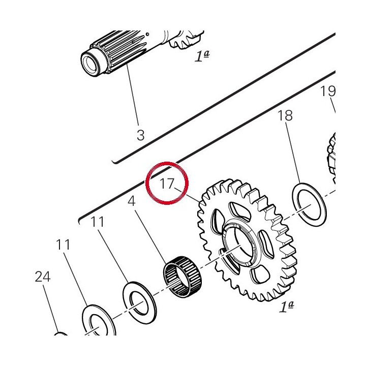 Engrenage entraine 1Ere — réf. 17217231B | Ducati Store