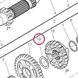 Rondelle 85215541A — réf. 85215541A | Ducati Store