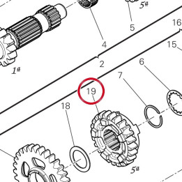 Engrenage entraine 5Me — réf. 17217271A | Ducati Store