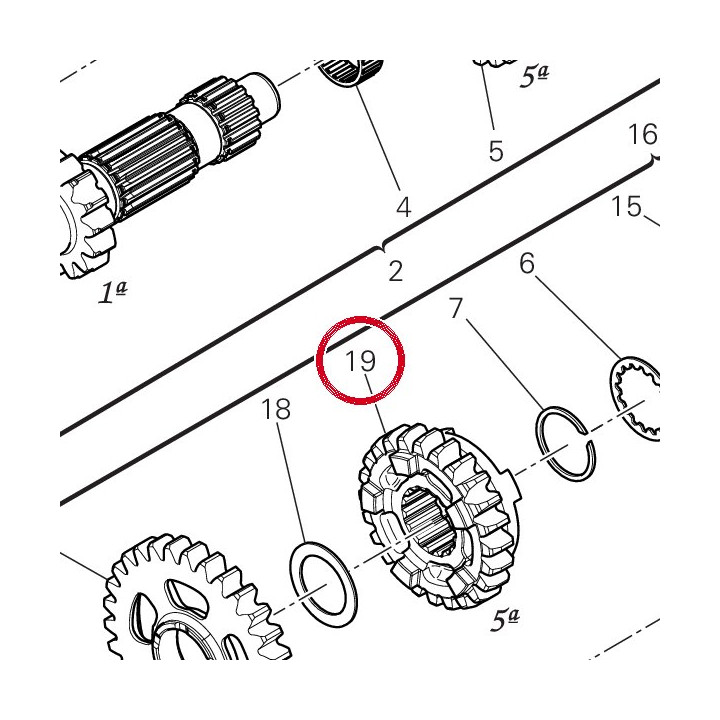 Engrenage entraine 5Me — réf. 17217271A | Ducati Store