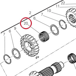 Roulement à aiguilles — réf. 70141011A | Ducati Store
