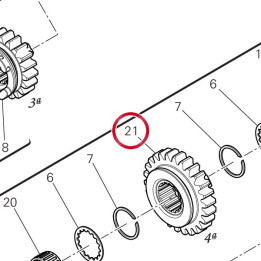 Engrenage entraine 4Eme — réf. 17217261A | Ducati Store