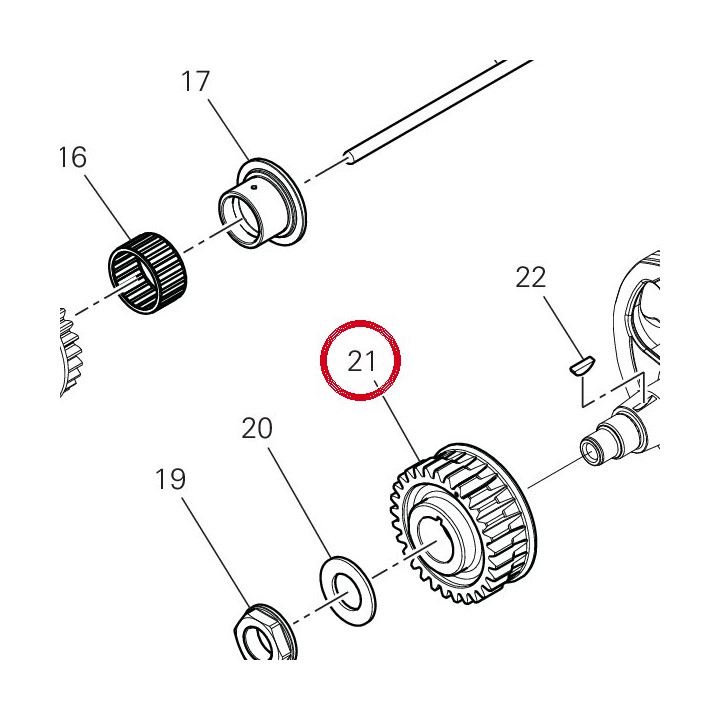 Pignon transmission — réf. 17011821A | Ducati Store