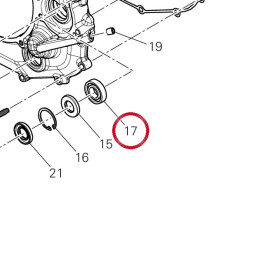Roulement 70250591C — réf. 70250591C | Ducati Store