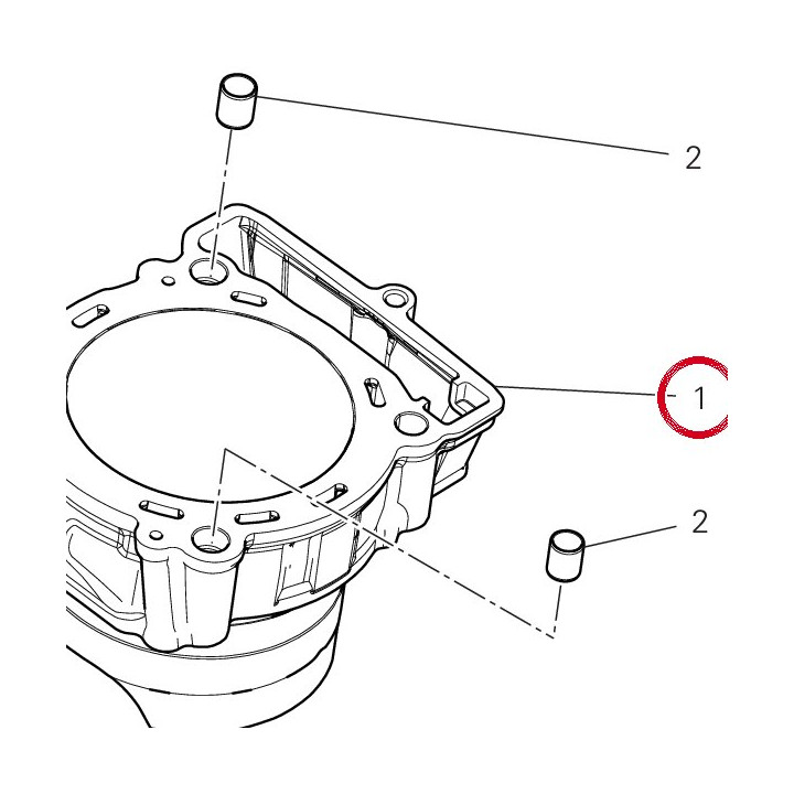 Cylindre complet 12512601D — réf. 12512601D | Ducati Store