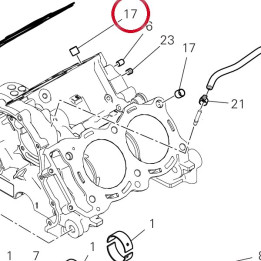 Grain 71116941A — réf. 71116941A | Ducati Store