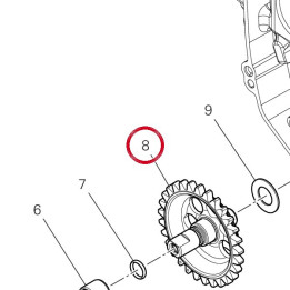 Engrenage pompe 17610491B — réf. 17610491B | Ducati Store