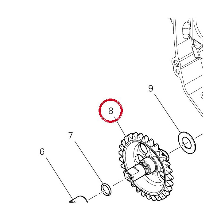 Engrenage pompe 17610491B — réf. 17610491B | Ducati Store