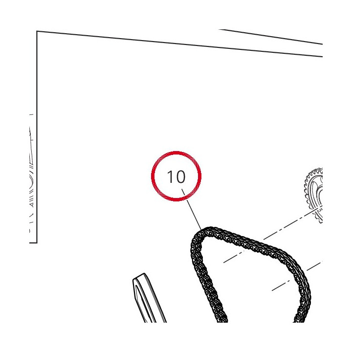 Chaîne distribution — réf. 73840151A | Ducati Store