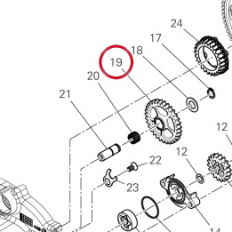 Ingranaggio ozioso pompe — réf. 17411951A | Ducati Store