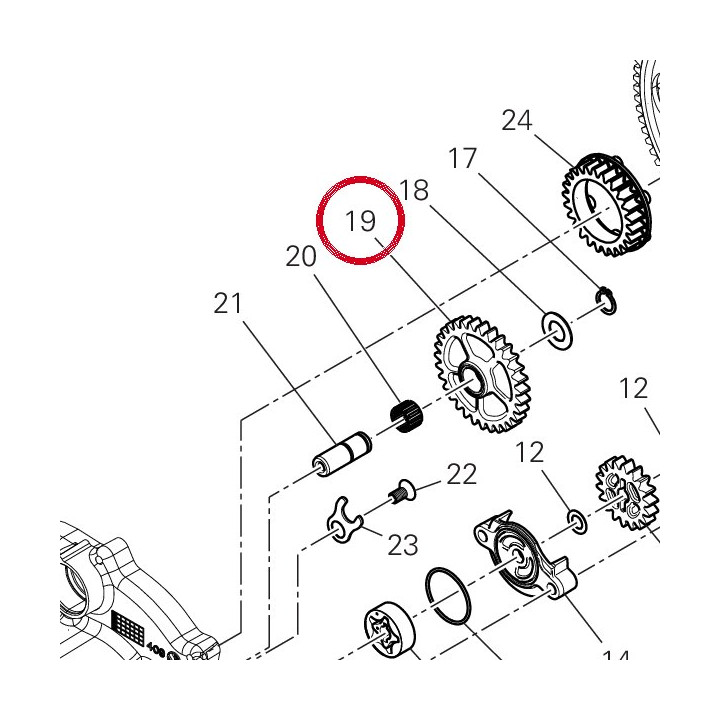 Ingranaggio ozioso pompe — réf. 17411951A | Ducati Store