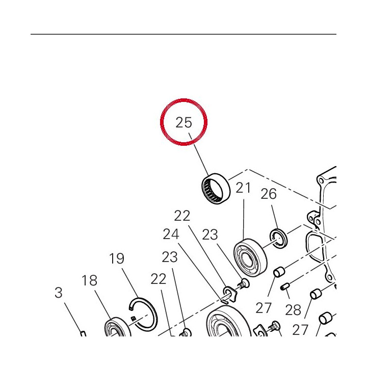 Douille à aiguilles — réf. 70241801A | Ducati Store