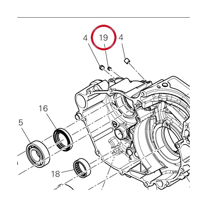 Vis speciale 77810101F — réf. 77810101F | Ducati Store