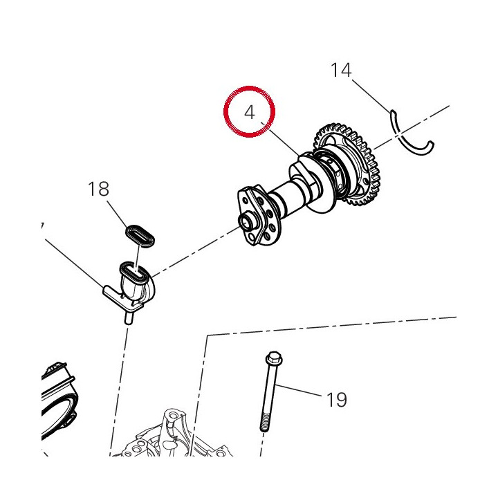 M21J Intake camshaft — réf. 14826751A | Ducati Store