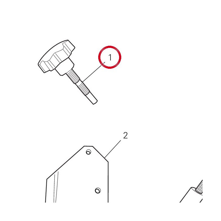 Vis special bloquer — réf. 8871B651A | Ducati Store
