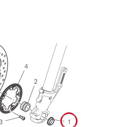 Écrou M25X1,25 74810141C — réf. 74810141C | Ducati Store