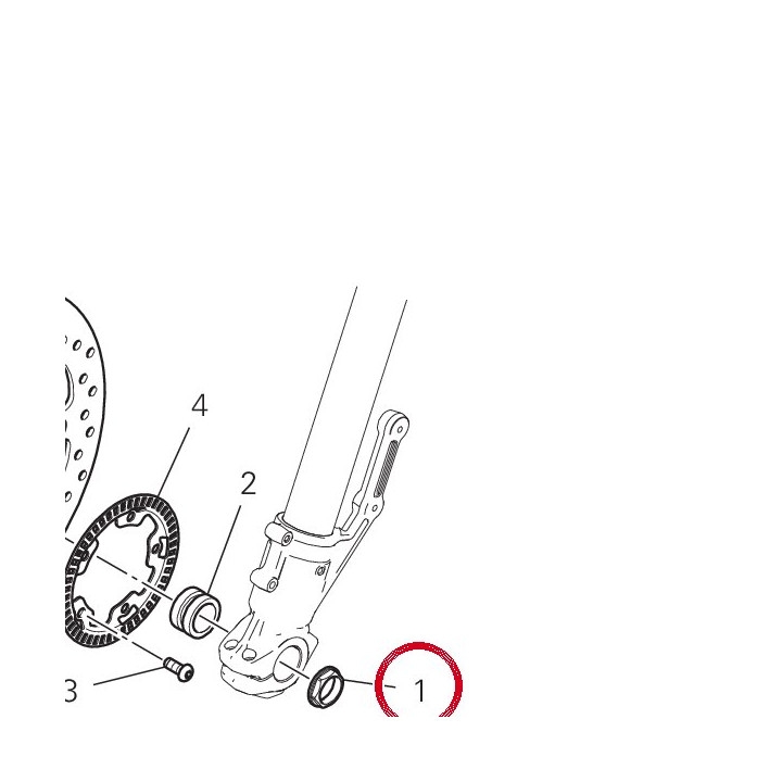 Écrou M25X1,25 74810141C — réf. 74810141C | Ducati Store