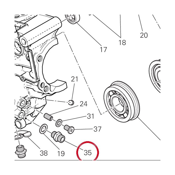 Raccord tuyau M14X1.5 — réf. 81510221A | Ducati Store