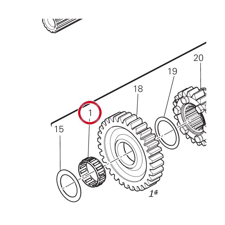 Roulement à aiguilles — réf. 70140211A | Ducati Store